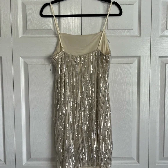 NWT Francesca's Sequin Fringe Dress by Blue Rain - Picture 5 of 8